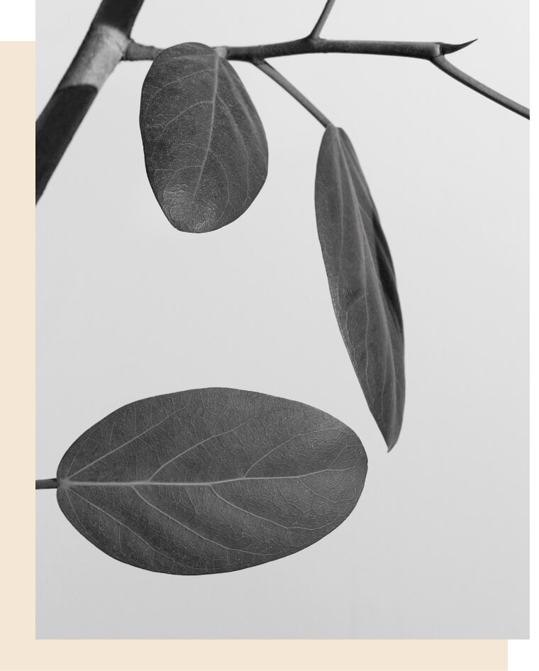 Sustainability