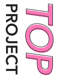 PROJECT TOP